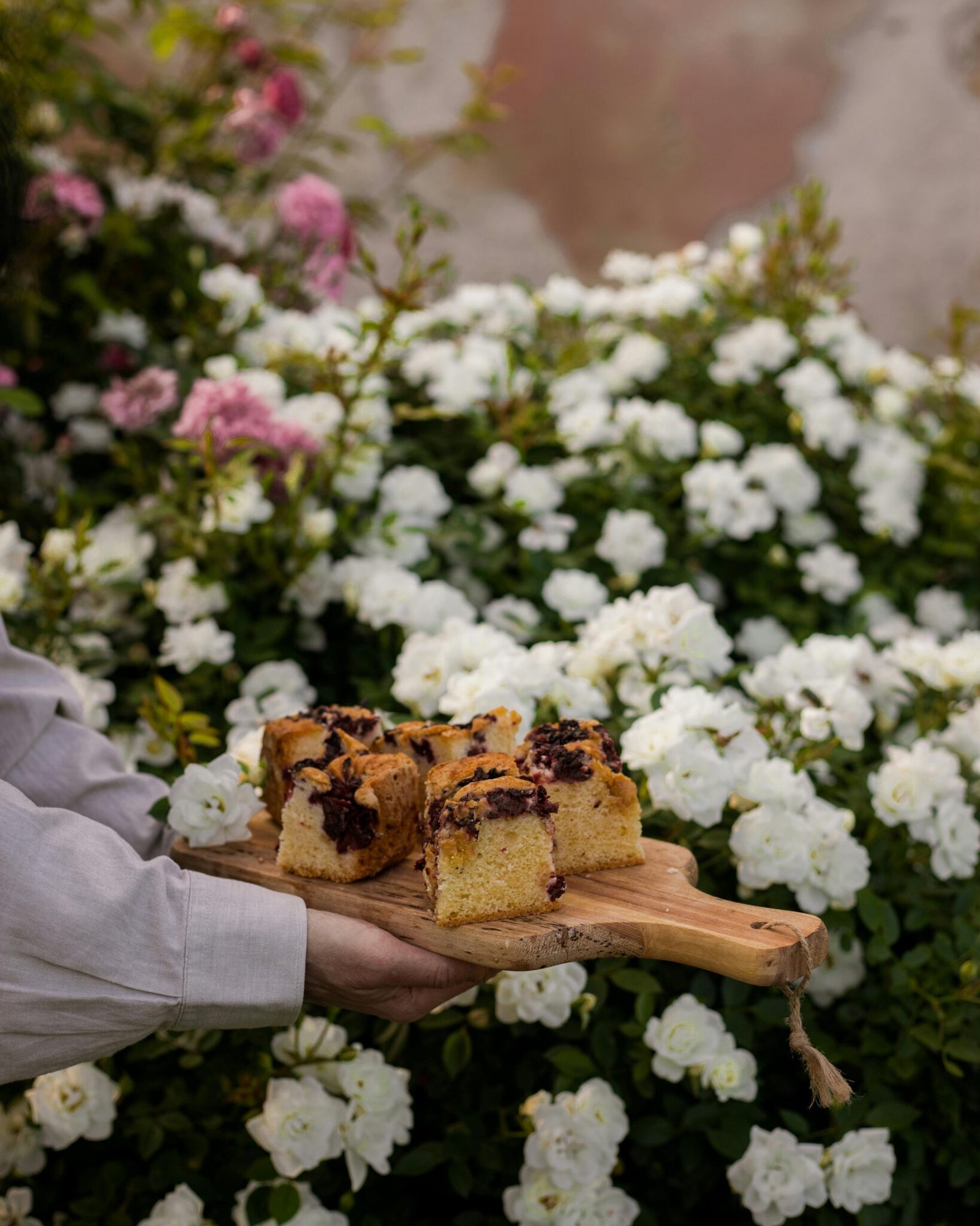 A homemade cake in front of bush of roses